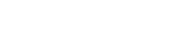 ShareTown Logo
